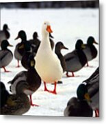 Do You Stand Out From The Crowd Metal Print