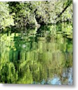 Down By The River Metal Print