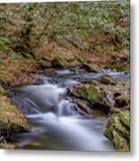 Dreaming In Smithgall Woods Metal Print