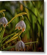 Dreams In White And Green #i6 Metal Print