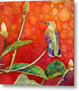 Dreamy Hummer - Hummingbird Metal Print