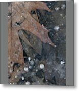 Dreamy Leaves-i Metal Print