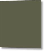 Dunn And Edwards 2019 Curated Colors Olive Court Dark Muted Green Dea174 Solid Color Metal Print