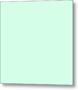 Dunn Edwards 2019 Curated Colors Pale Cactus - Pastel Green De5673 Solid Color Metal Print