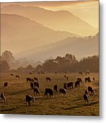 Dusk Over The Mountains Metal Print