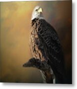 Eagle On The Levy Metal Print