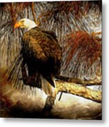 Eagle Painterly Metal Print