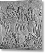 Early Bas Relief Of Assyrian Conquerings Metal Print