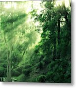 Early Morning Forest Glow Metal Print