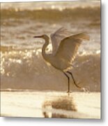 Egret At The Beach On A Sunny Morning Metal Print