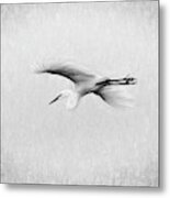 Egret Metal Print