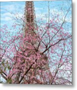 Eiffel Tower With Blossoming Cherry Tree Metal Print