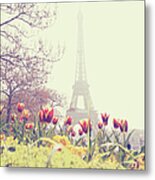 Eiffel Tower With Tulips Metal Print