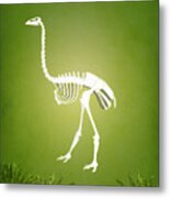 Elephant Bird Metal Print