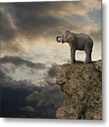 Elephant On The Edge Of A Cliff Metal Print