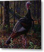 Ever Alert - Wild Turkey Metal Print
