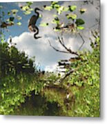 Everglades #7 Metal Print