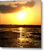 Everglades Sunset Metal Print