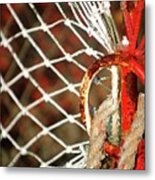 Eye Of The Net Metal Print