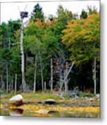 Eyrie Of Oak Island Metal Print