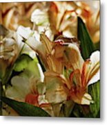 Faded Lilies Abstract Metal Print