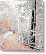 Fairmount Park, Path In Autumn, Philadelphia, Pennsylvania Metal Print