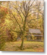 Fall At Henry Whitehead's Place Metal Print