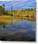 Fall Colors Metal Print