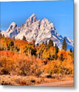 Fall Foliage Under The Cathedral Group Metal Print