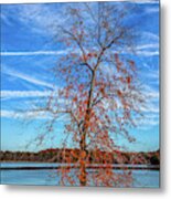 Fall In Sweetwater Creek Metal Print