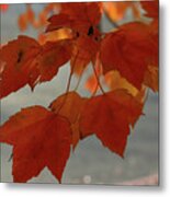 Fall In The Pacific Northwest Metal Print