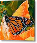 Fall Monarch Metal Print