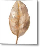 Fallen Leaf Ii Metal Print