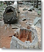 Fallen Tree Metal Print