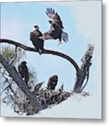 Family Portrait Swfl Eagles Metal Print