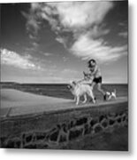 Fast As The Wind Metal Print