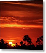 Fiery Pine Glades Sunrise Metal Print