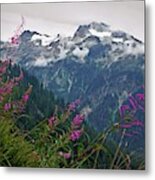 Fireweed And Mount Shuksan Metal Print