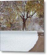 First Snow Day Metal Print