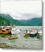 Fishing Boats In A Lake, Puerto Metal Print