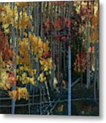 Flames Of Autumn Metal Print