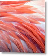 Flamingo Feather Background Metal Print