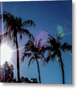 Florida Palms And Sun Metal Print