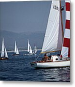 Flotilla Metal Print