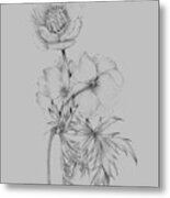 Flower Illustration Ii Metal Print