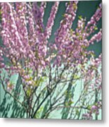 Flowering Almond Metal Print