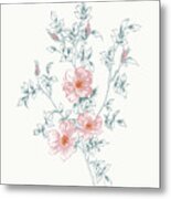 Flowers On White Ii Contemporary Bright Metal Print