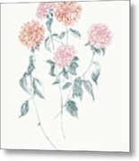 Flowers On White Vi Contemporary Bright Metal Print