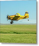 Fly By Metal Print