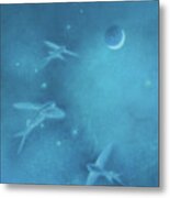Flying Fish With Asterism Metal Print